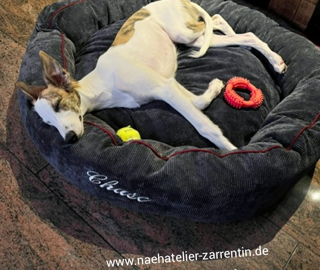 Hundebett personalisiert